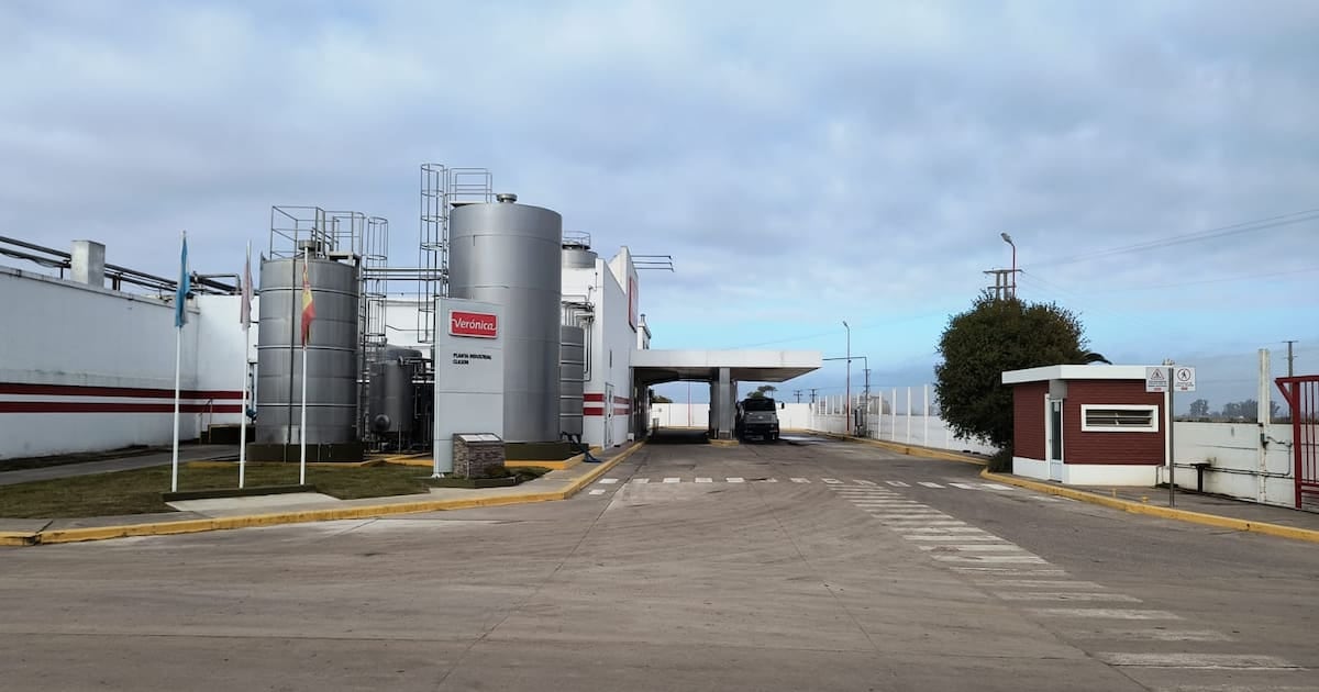 Verónica transfiere dos plantas en Santa Fe por 15,5 millones de dólares y deja al descubierto el 78% de su pasivo sin cobertura