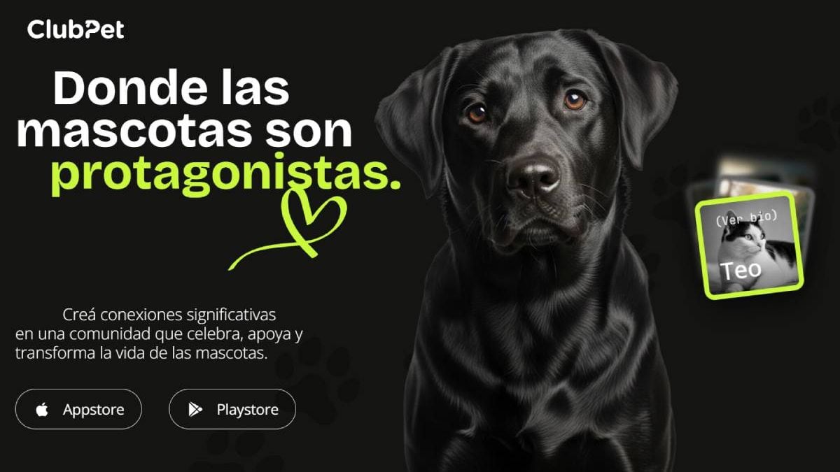 Una noche en el Club Pacífico para darle casa a un perro o un gato que espera hace rato