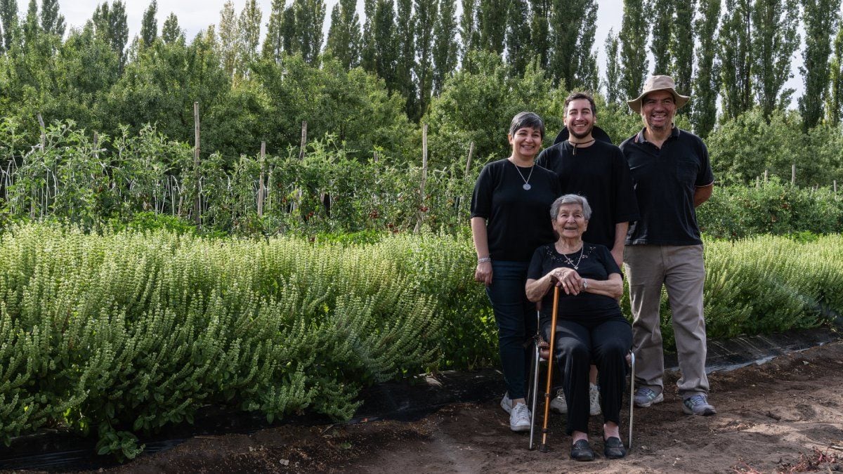 El comprobante de gas que guardaba la receta de cuatro generaciones y se convirtió en el motor de Mister Tomato