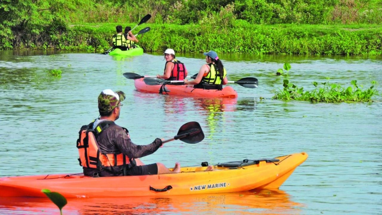 Desde Arroyo Leyes, una empresa familiar abre la Setúbal al remo: paseos cortos, travesías largas y un lago artificial para quienes se animan por primera vez