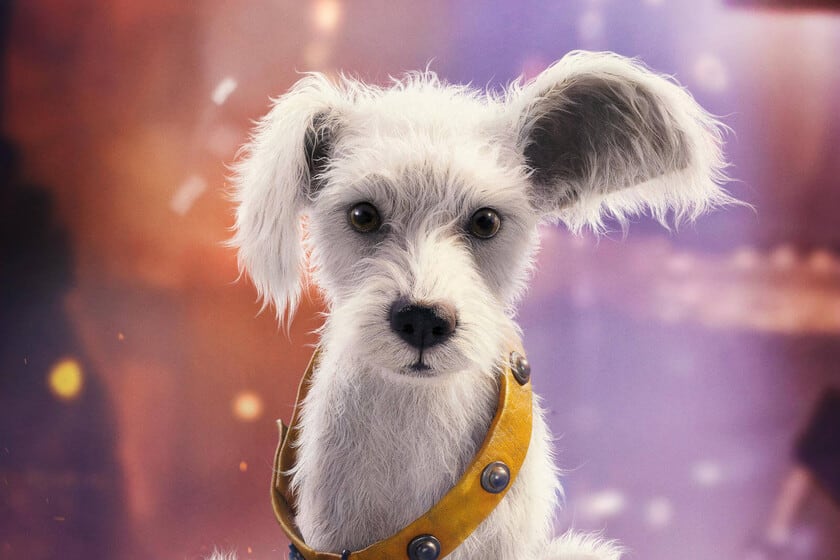 Una nave, un dardo y un perro: la búsqueda que reescribe a Supergirl
