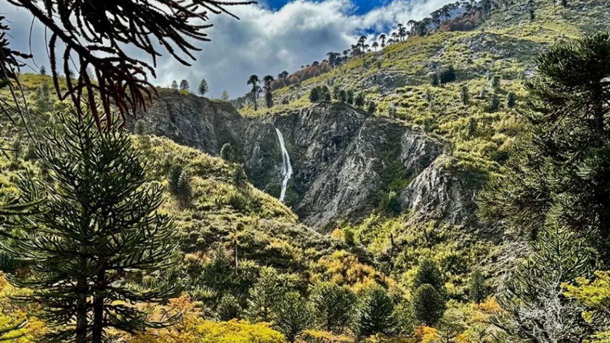 Cuidado con las ofertas de tierras en Pulmarí: si te piden plata, lo más probable es que sea una estafa