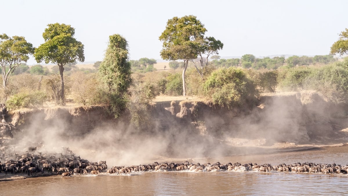 Tres parques, una sabana: crónica de un viaje al norte de Tanzania entre manadas, cráteres y comunidades originarias