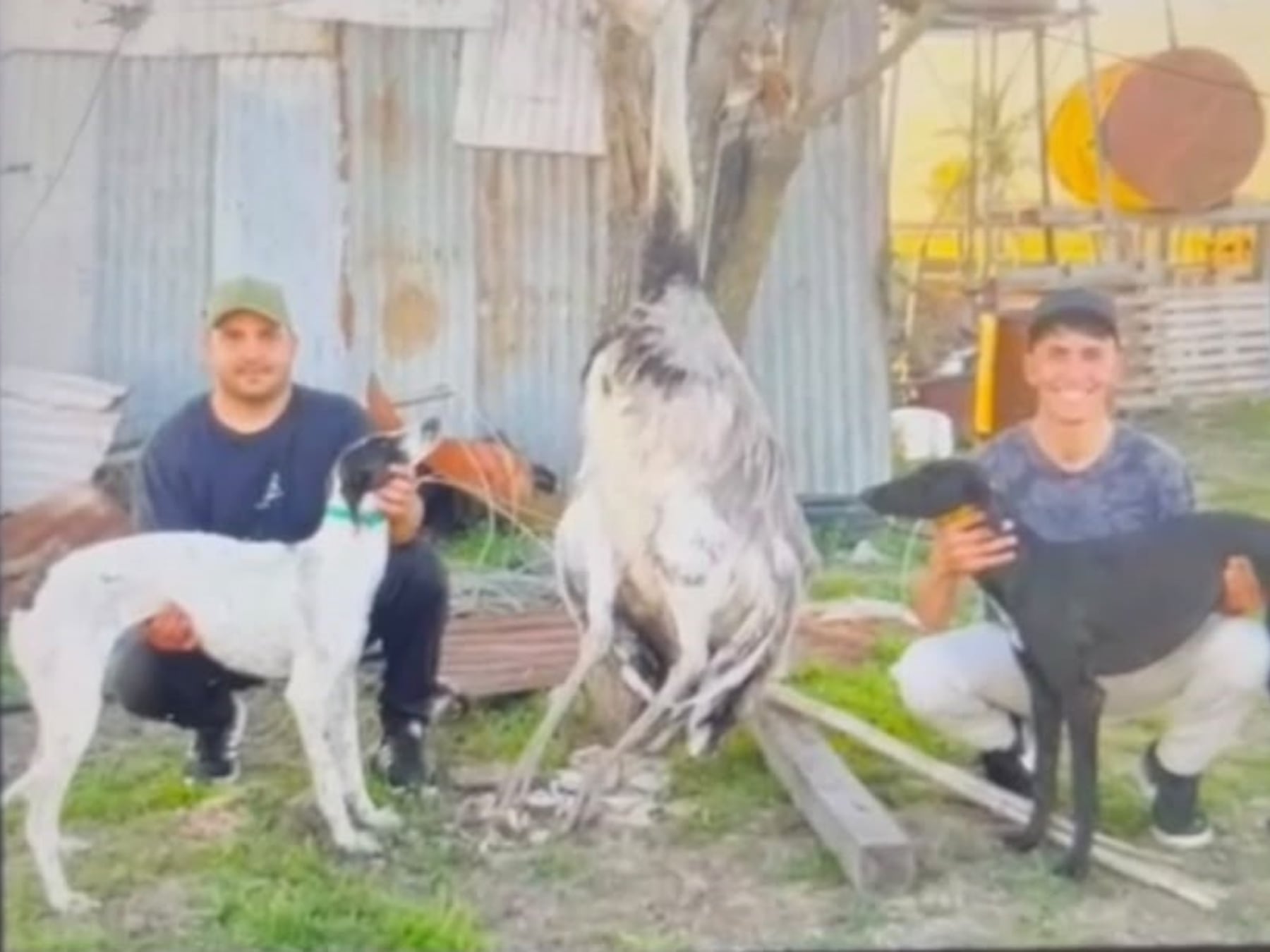 Pergamino: dos imputados por la muerte de un ñandú criado en un campo de 360 hectáreas