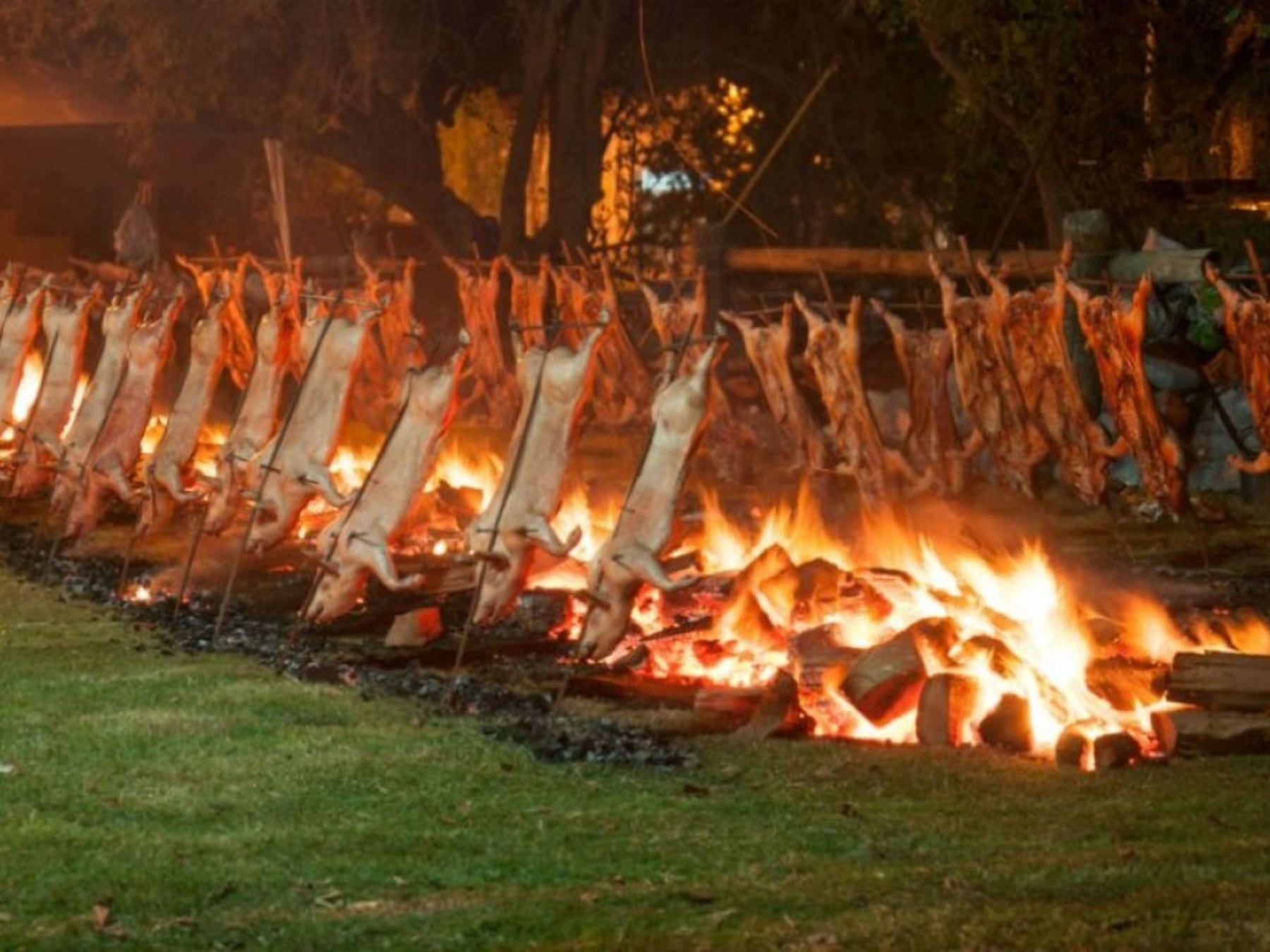 Más de mil kilómetros de fiestas populares: la agenda completa de la provincia de Buenos Aires para el fin de semana largo