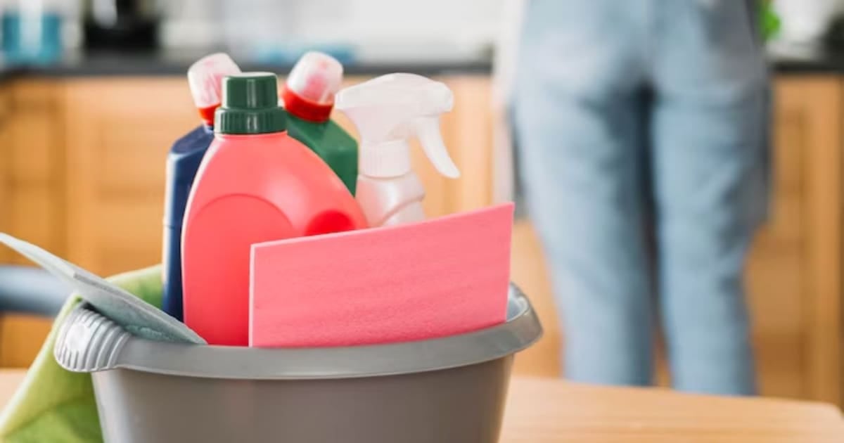ARCA activa un generador automático de recibos de sueldo para el personal de casas particulares