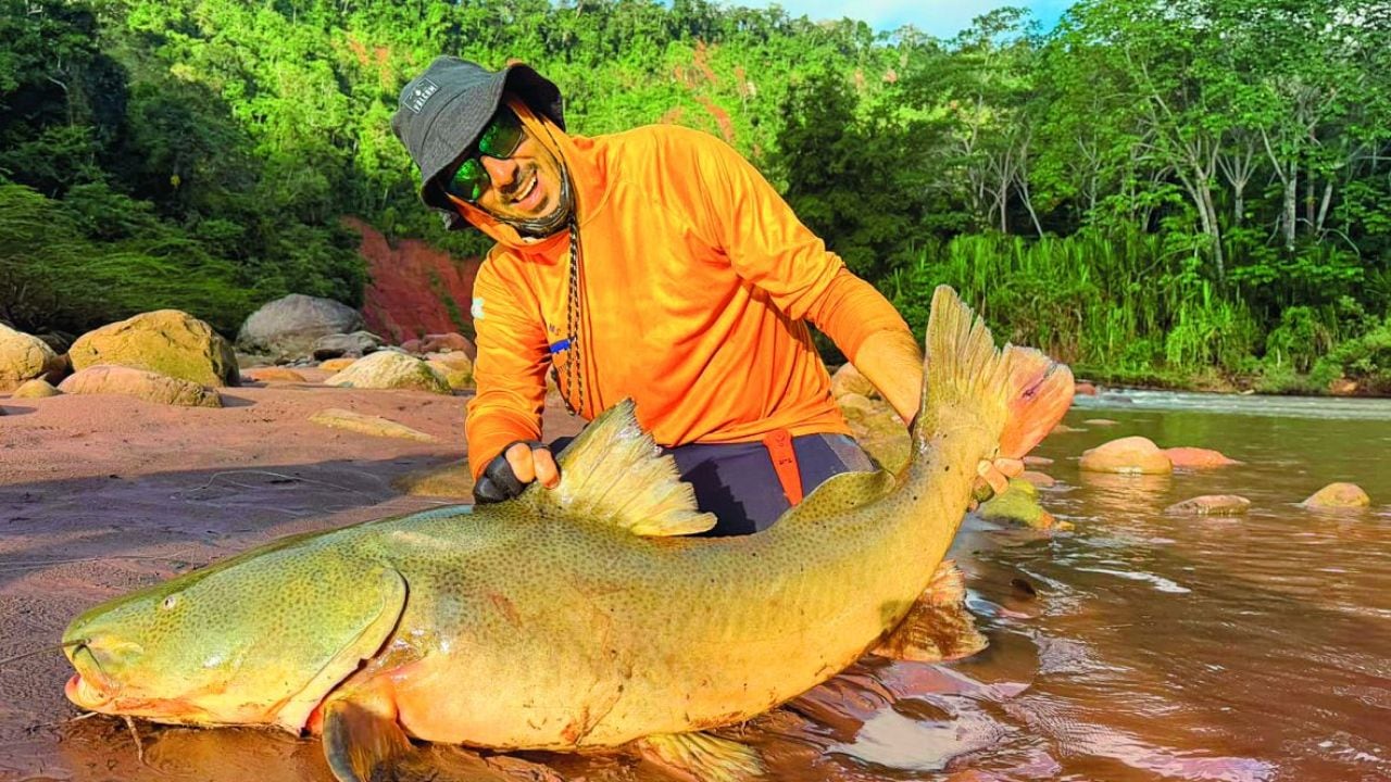 Un río de 350 kilómetros en la Amazonía boliviana, quince especies y peces de hasta 25 kilos: la pesca con devolución que seduce a la Argentina