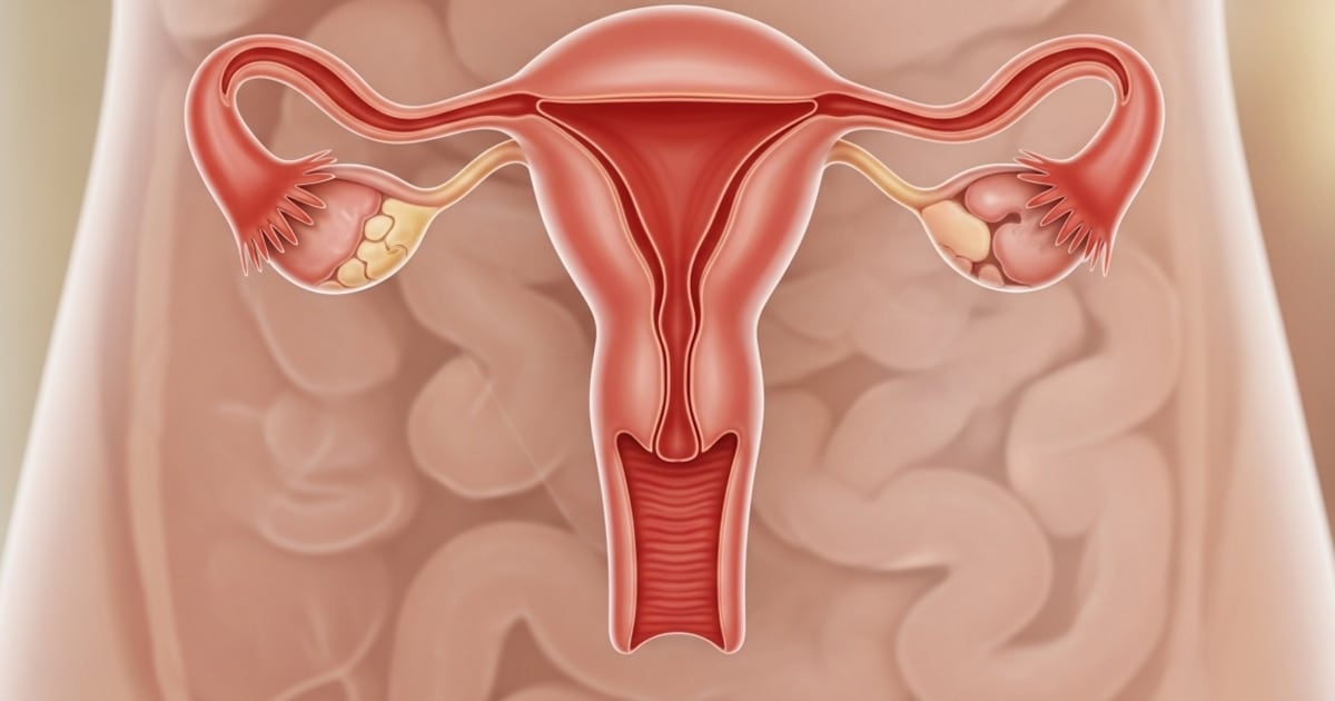 Un hallazgo que cambia la mirada sobre el ovario después de la menopausia