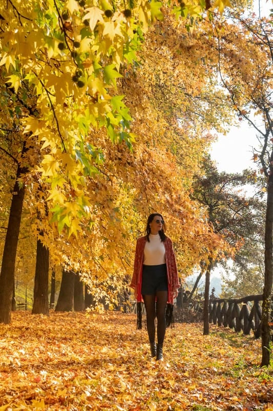El otoño cambia el mapa turístico de doce capitales europeas