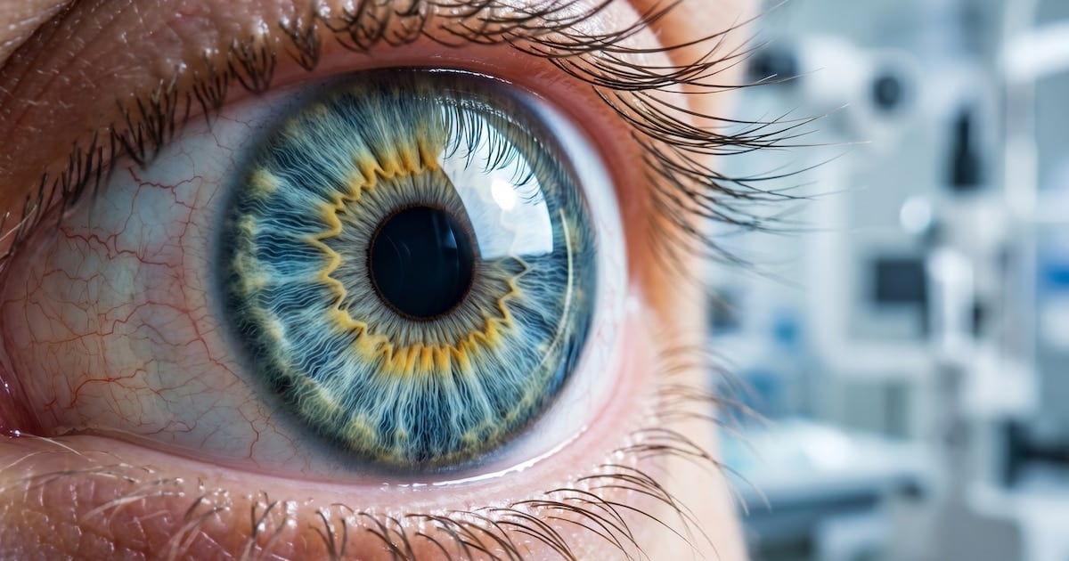 Una proteína tapes corneal y abre una camino hacia ensayos clínicos en humanos