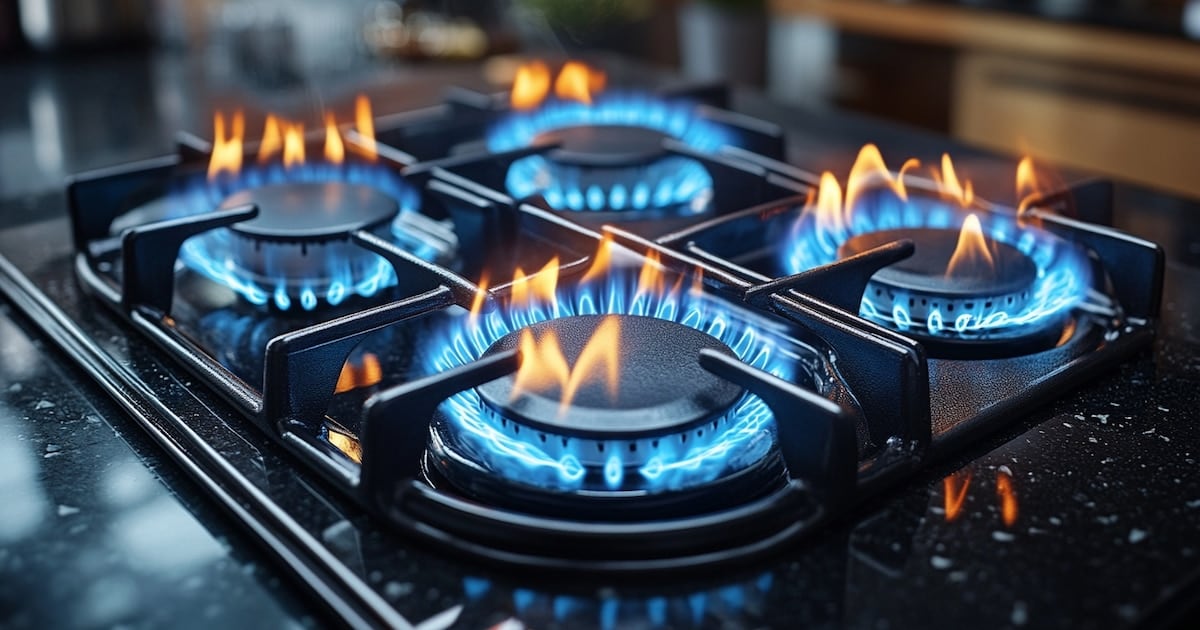 El a las zonas frías reduce el subsidio al gas en 3,35 millones de hogares