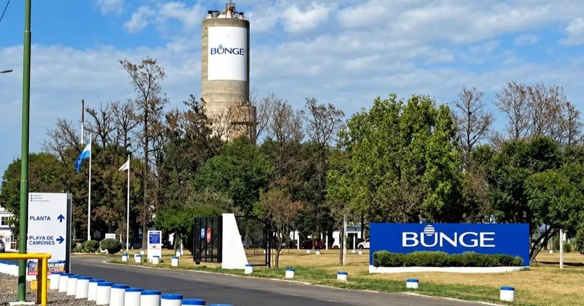Campana: cesa la producción de insumos para fertilizantes y despiden a 110 trabajadores
